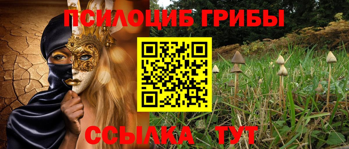 Ростов-на-Дону  Галлюциногенные грибы Magic Shrooms  Вход с VPN  Галлюциногенные грибы мухоморы 