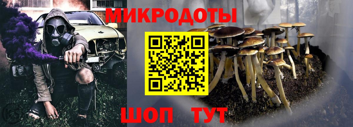 Псилоцибиновые грибы мицелий Ростов-на-Дону