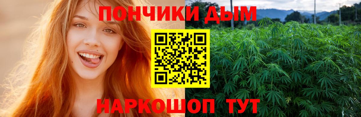 Бошки Шишки ГИДРОПОН Ростов-на-Дону